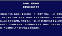 成都大学生爆料案件最新,校园疑云揭开惊人真相